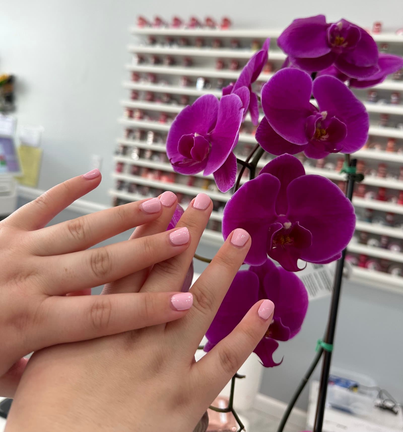 ROYAL NAILS — photo 2