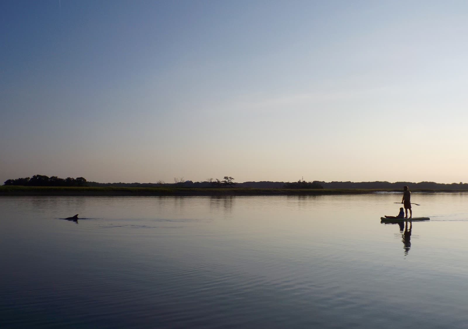 Water Dog Paddle Co. — photo 2