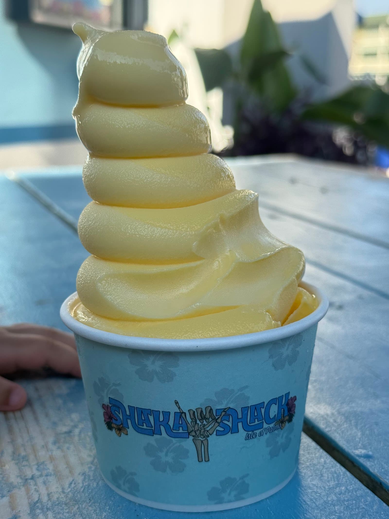 Shaka Shack — photo 1