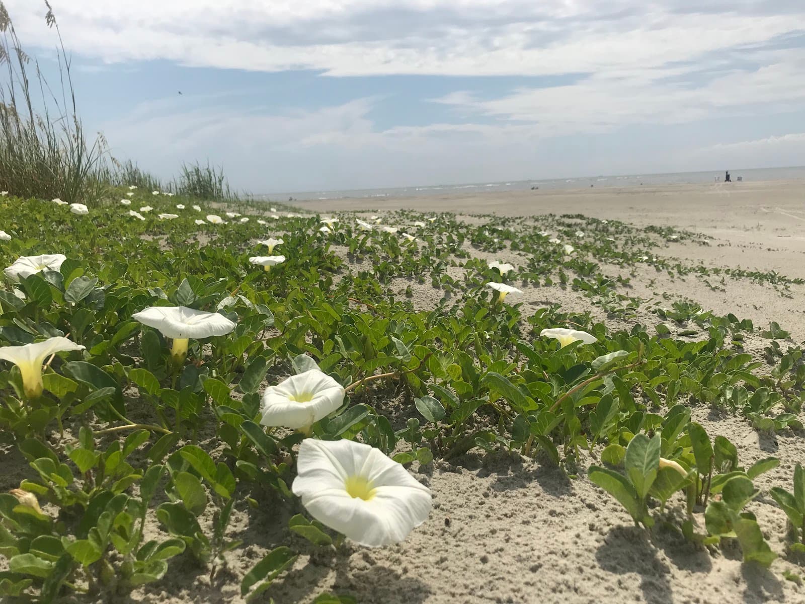 Station 28 - - Public Beach Access — photo 2