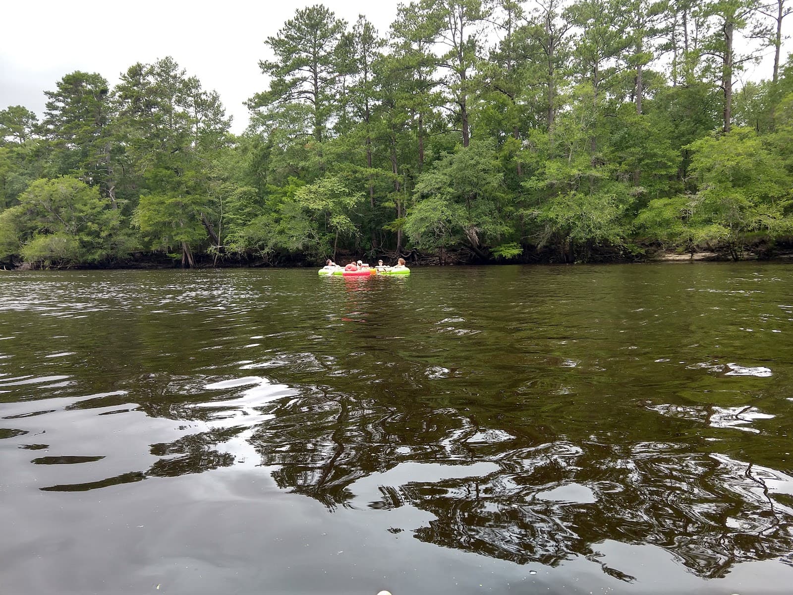 Edisto River Adventures — photo 1