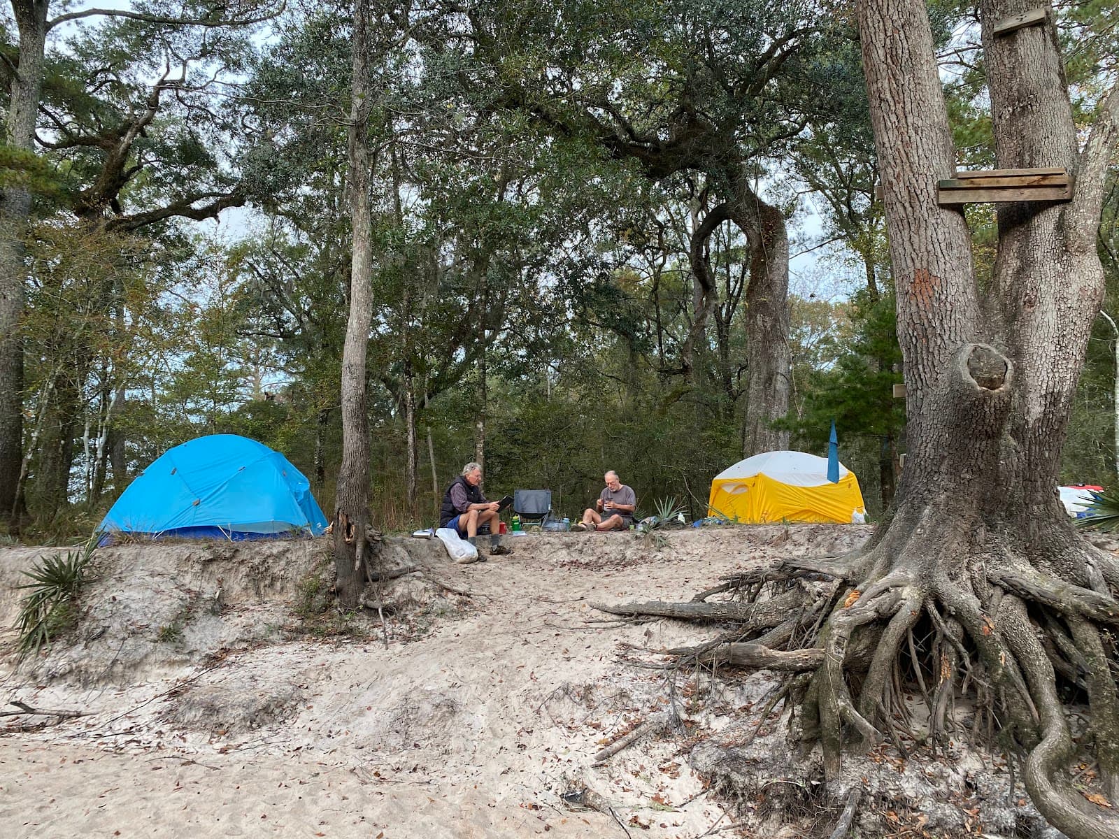 Edisto River Adventures — photo 2