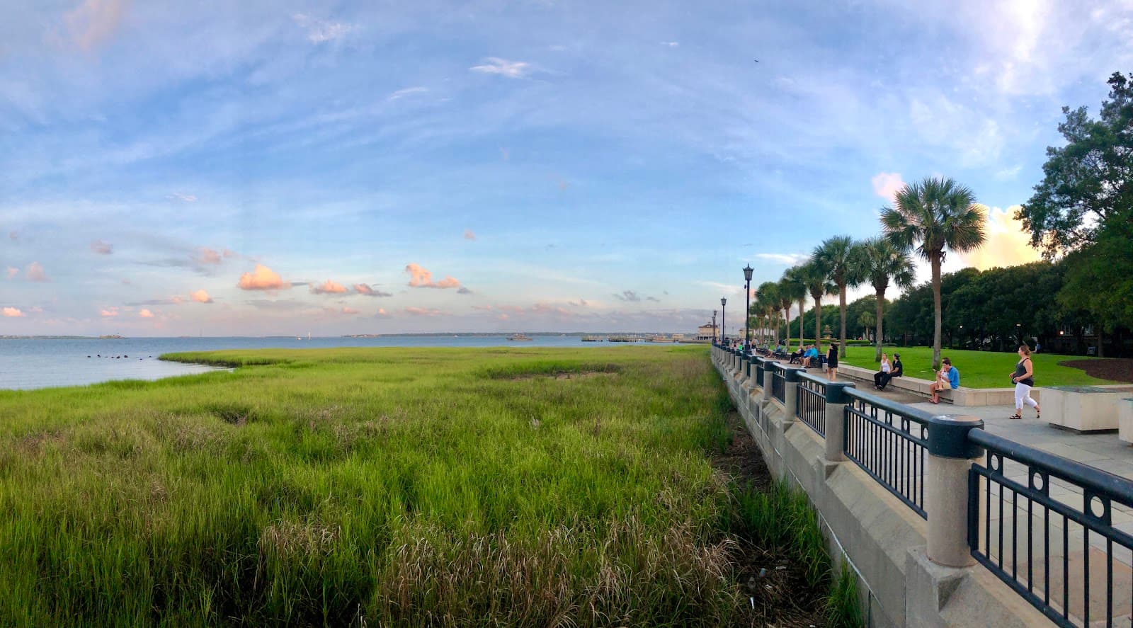 Waterfront Swings