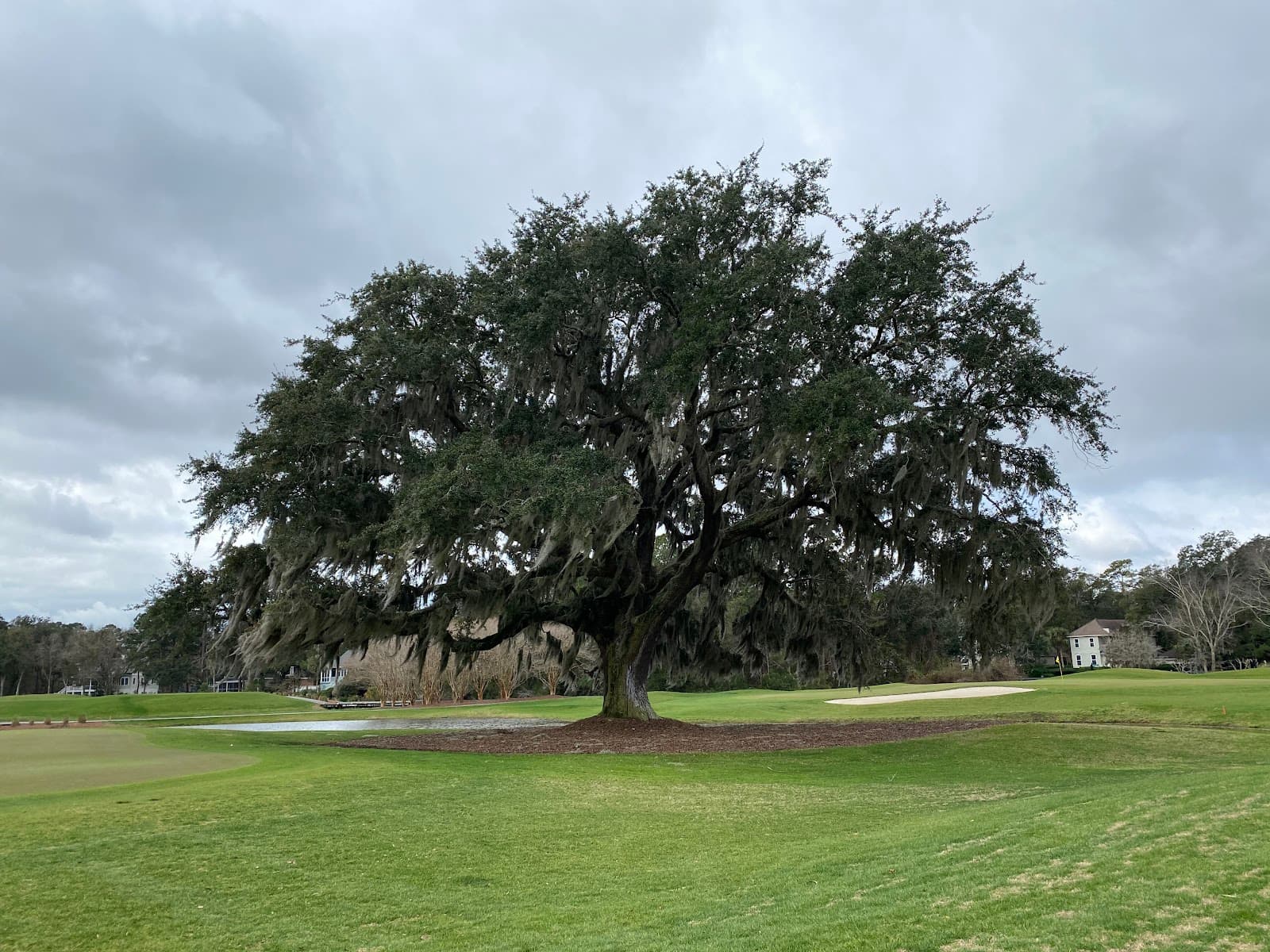 Oak Point Golf Course — photo 1