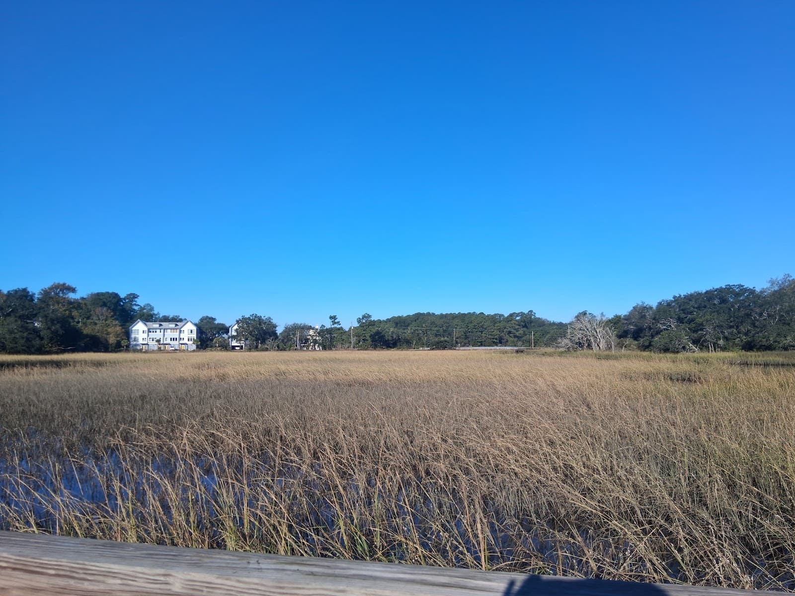 Four Poles Disc Golf Course — photo 2