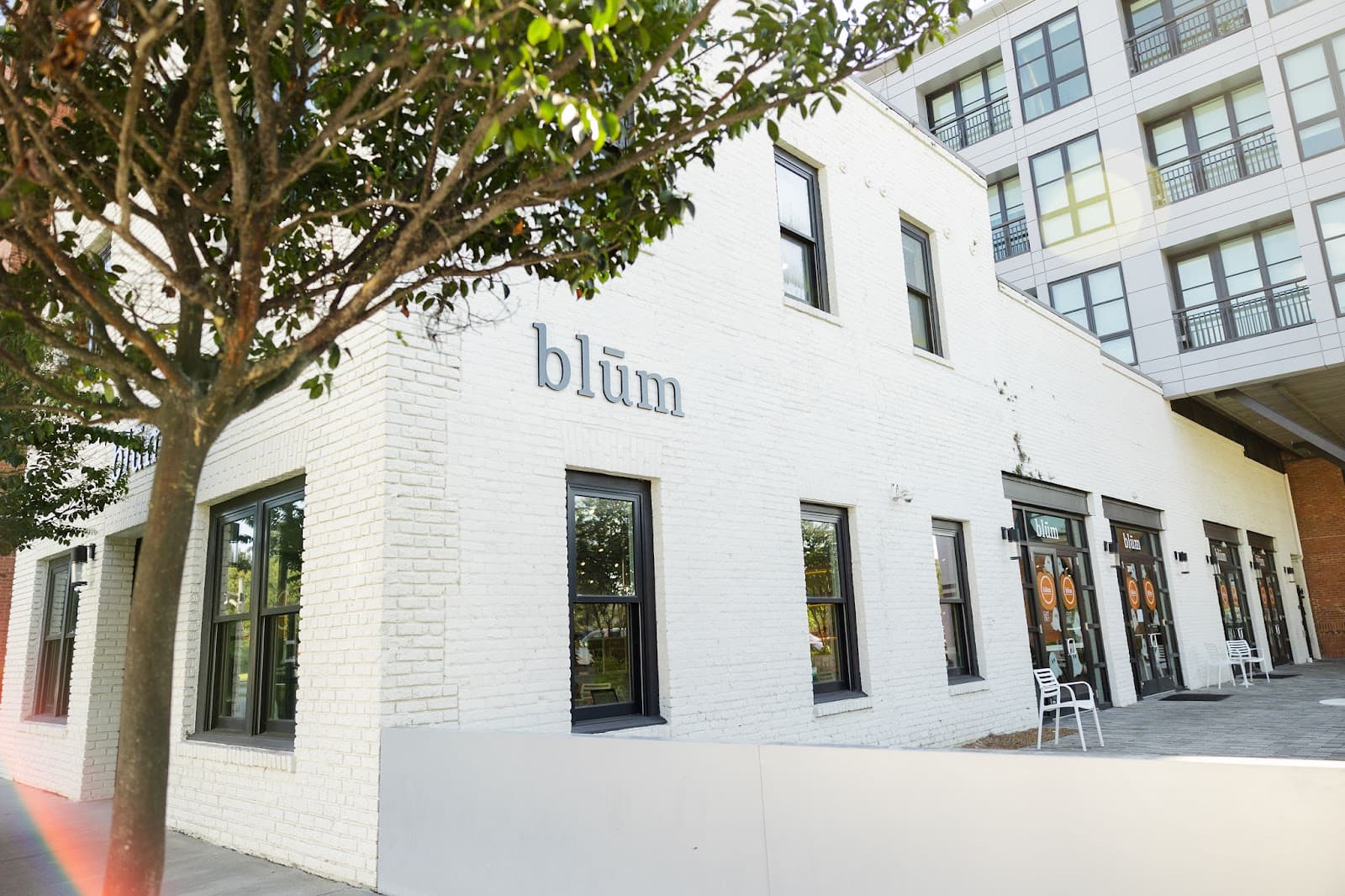 Blūm Coffee & Wine Bar — photo 1