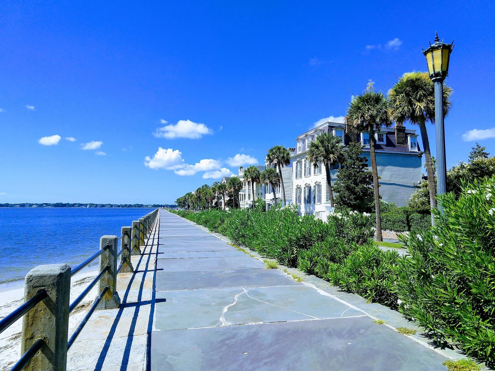 Carolina Yacht Club — photo 1