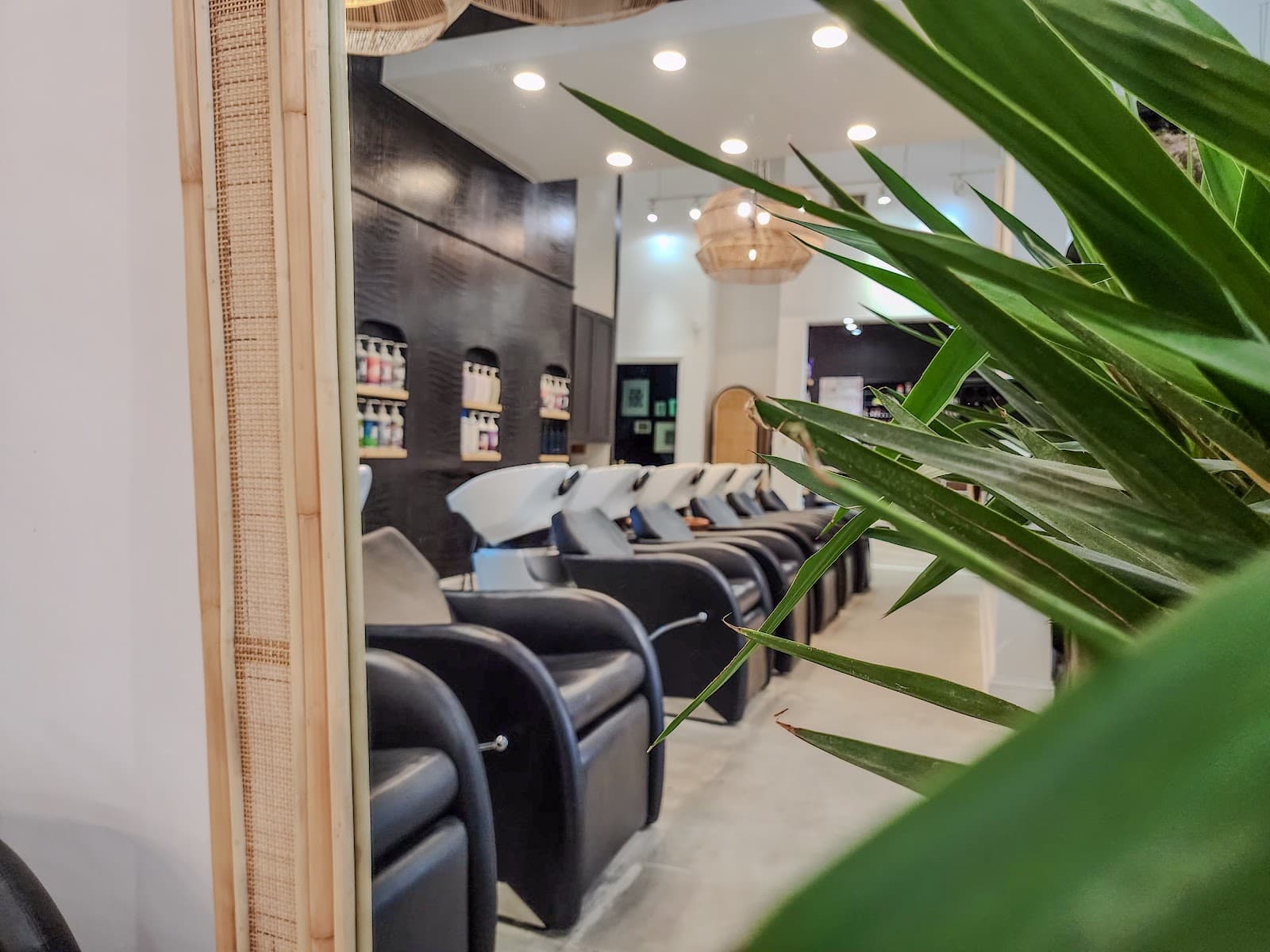 Salon Alexandria