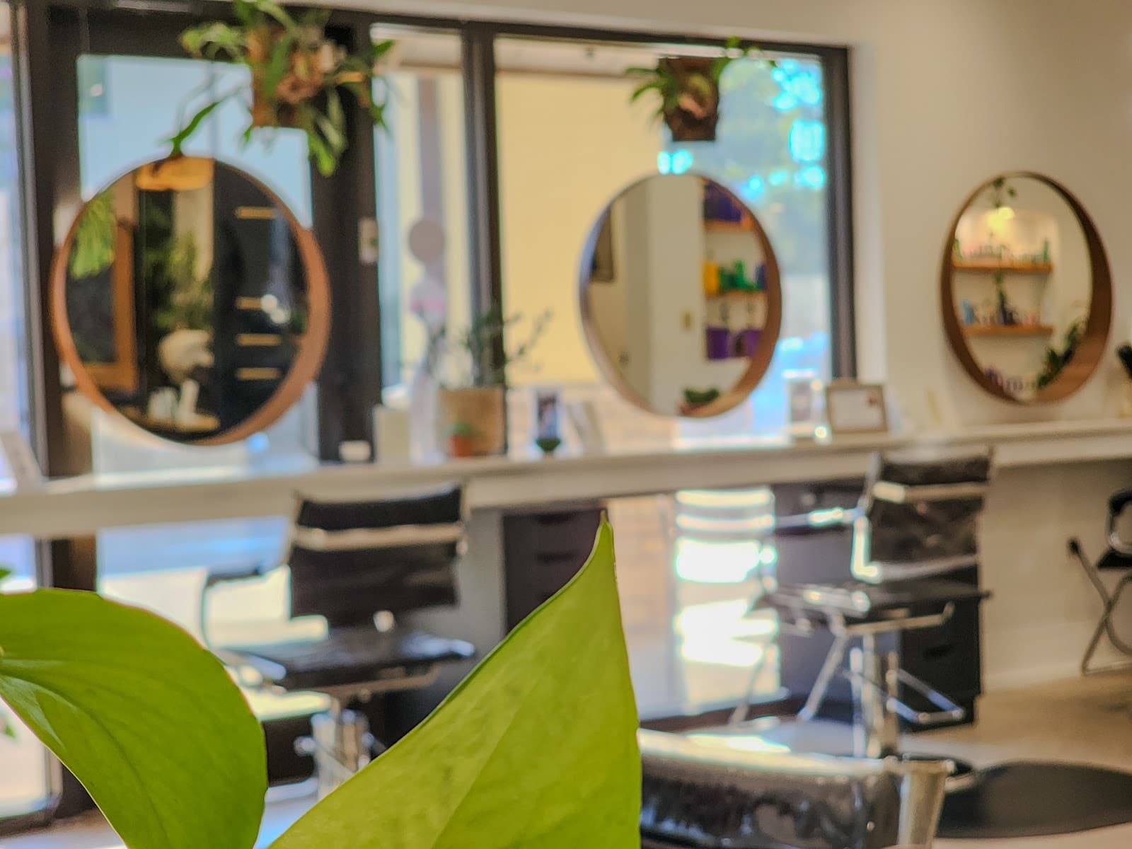 Salon Alexandria — photo 1