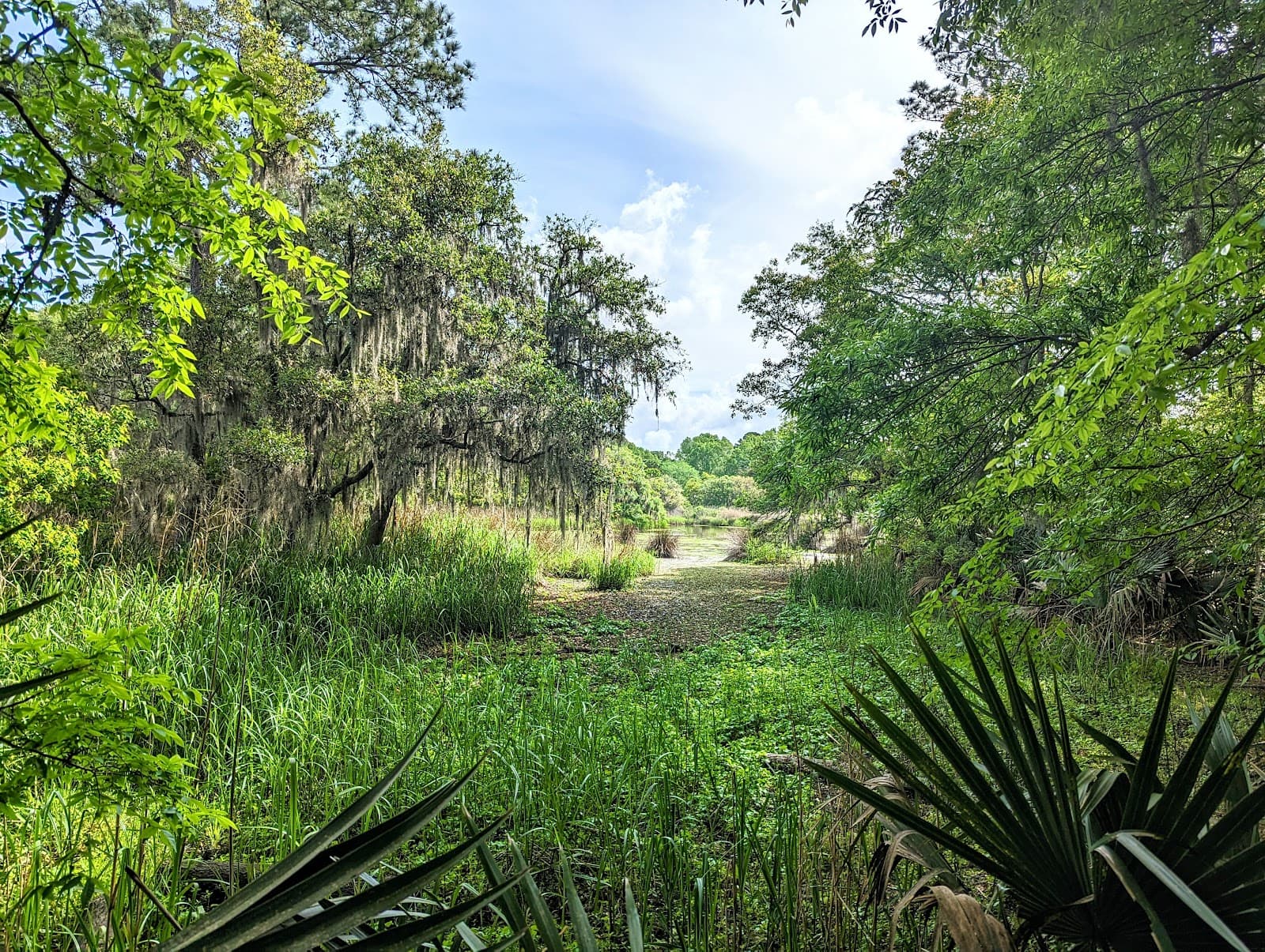 West Ashley Park — photo 1