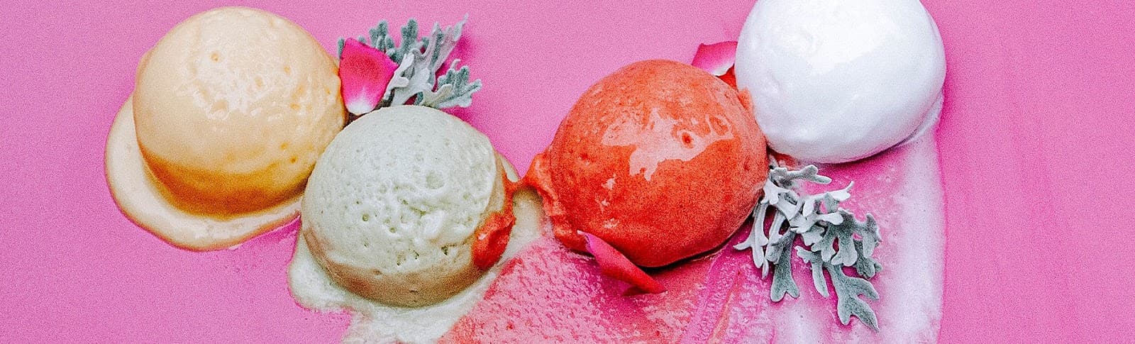 Tinto y Crema — photo 1