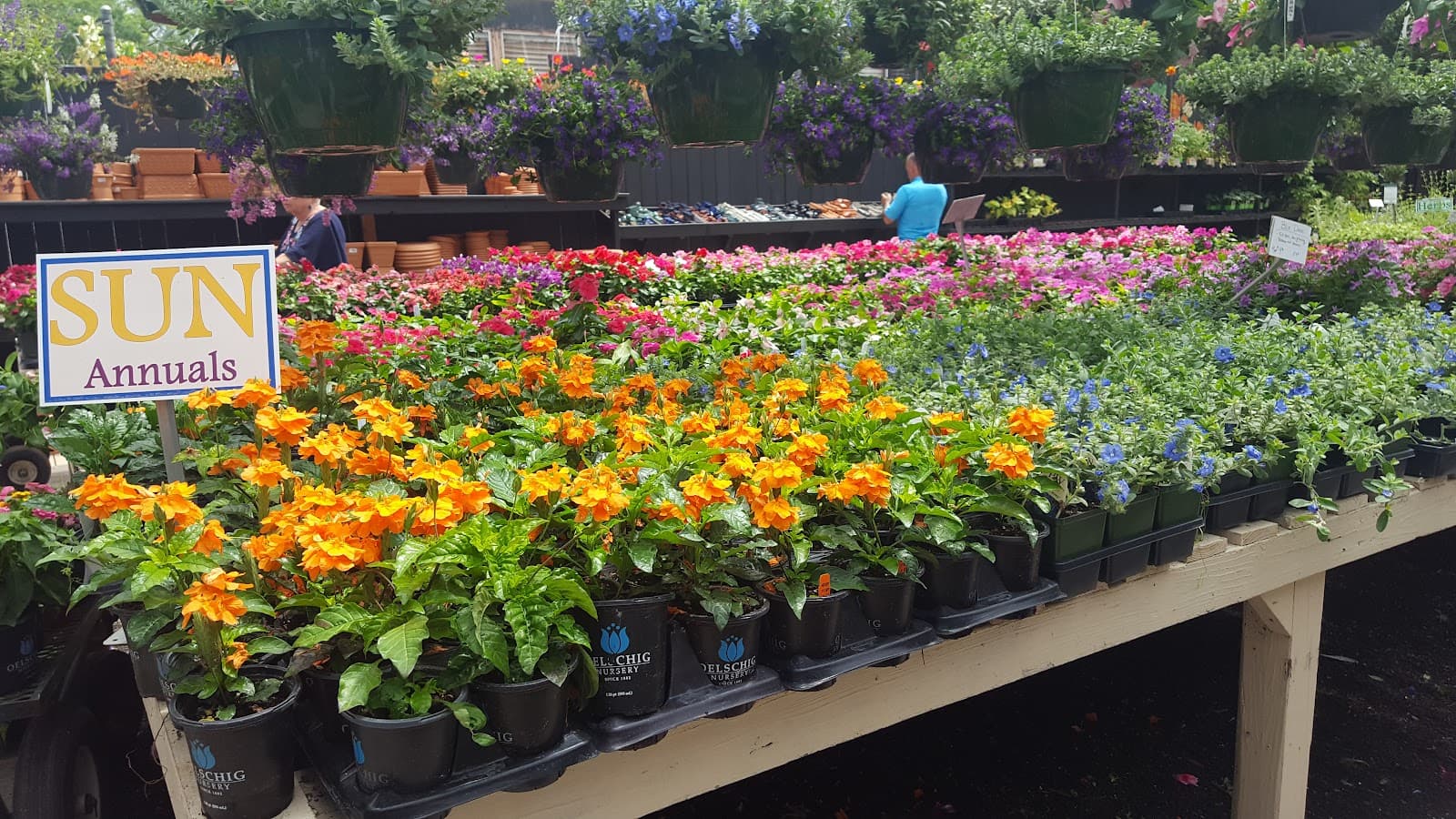 Hyams Garden & Accent Store