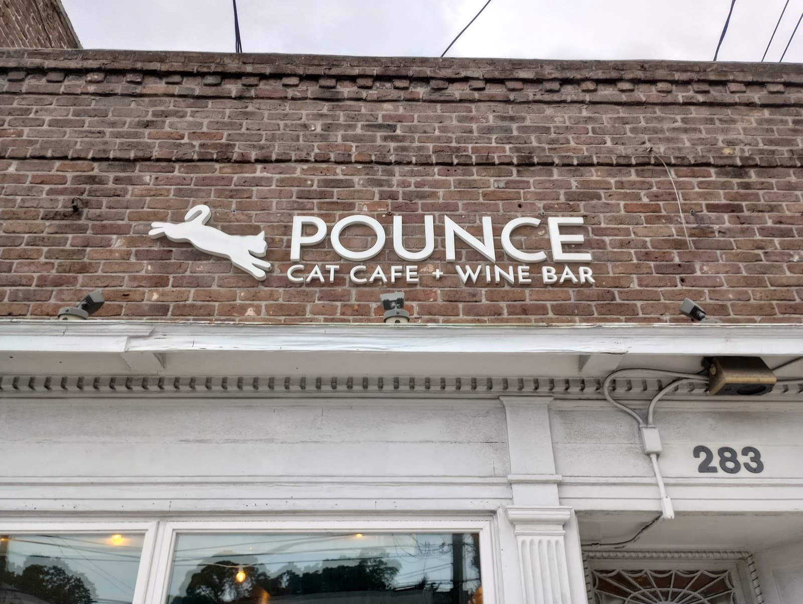 Pounce Cat Cafe + Wine Bar — photo 2