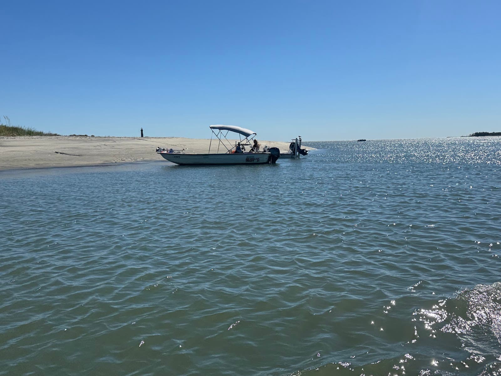 Flipper Finders Boat Tours - Folly Beach — photo 1