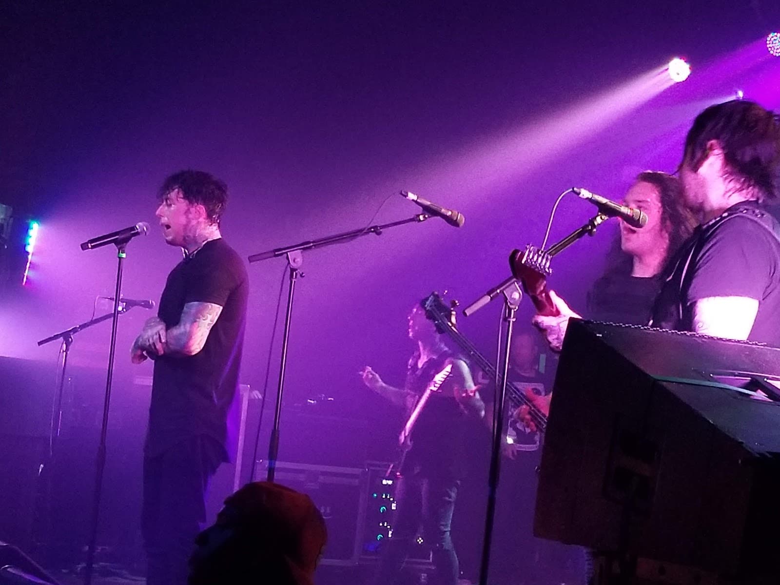 Music Farm — photo 1