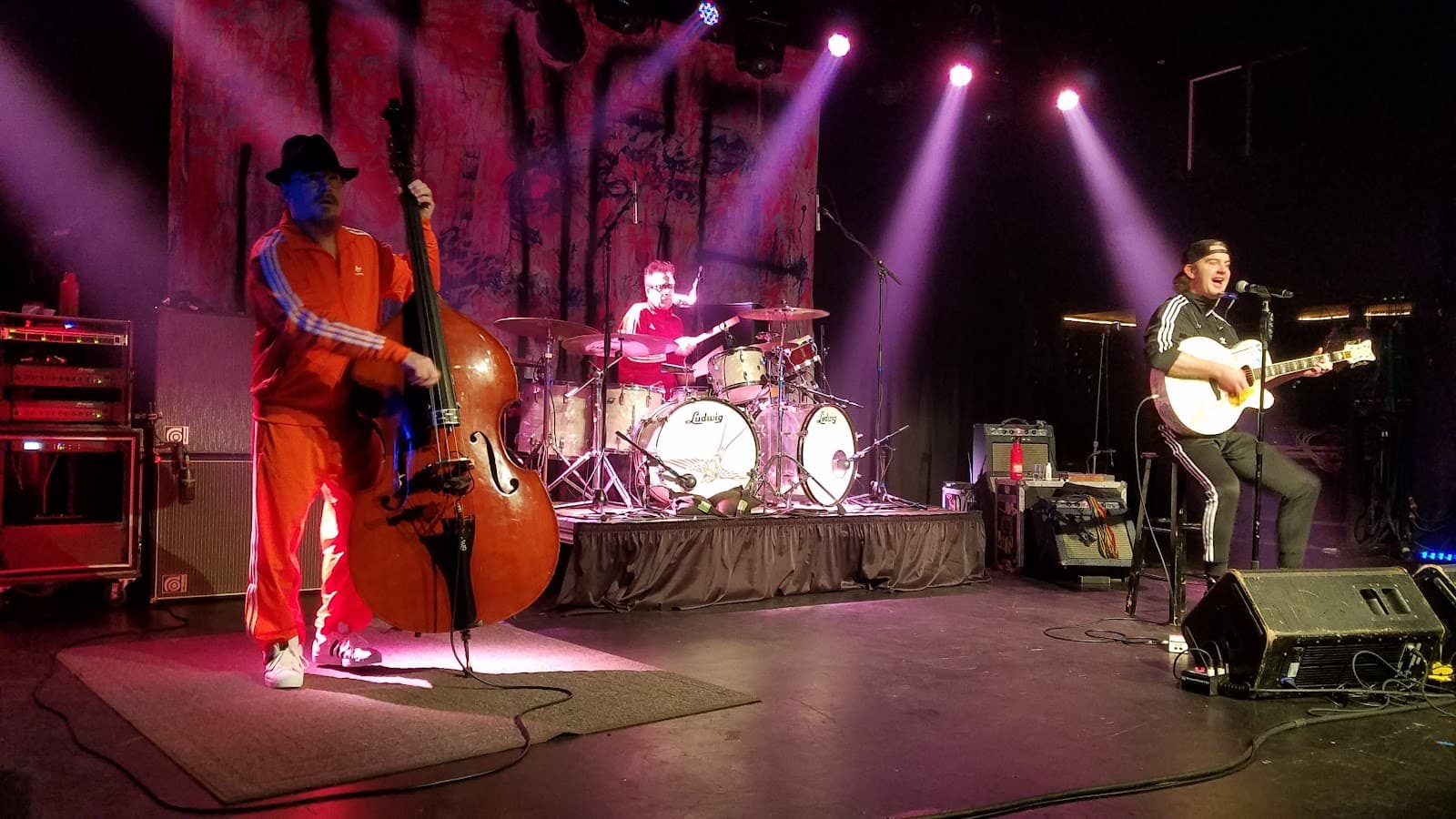 Music Farm — photo 2