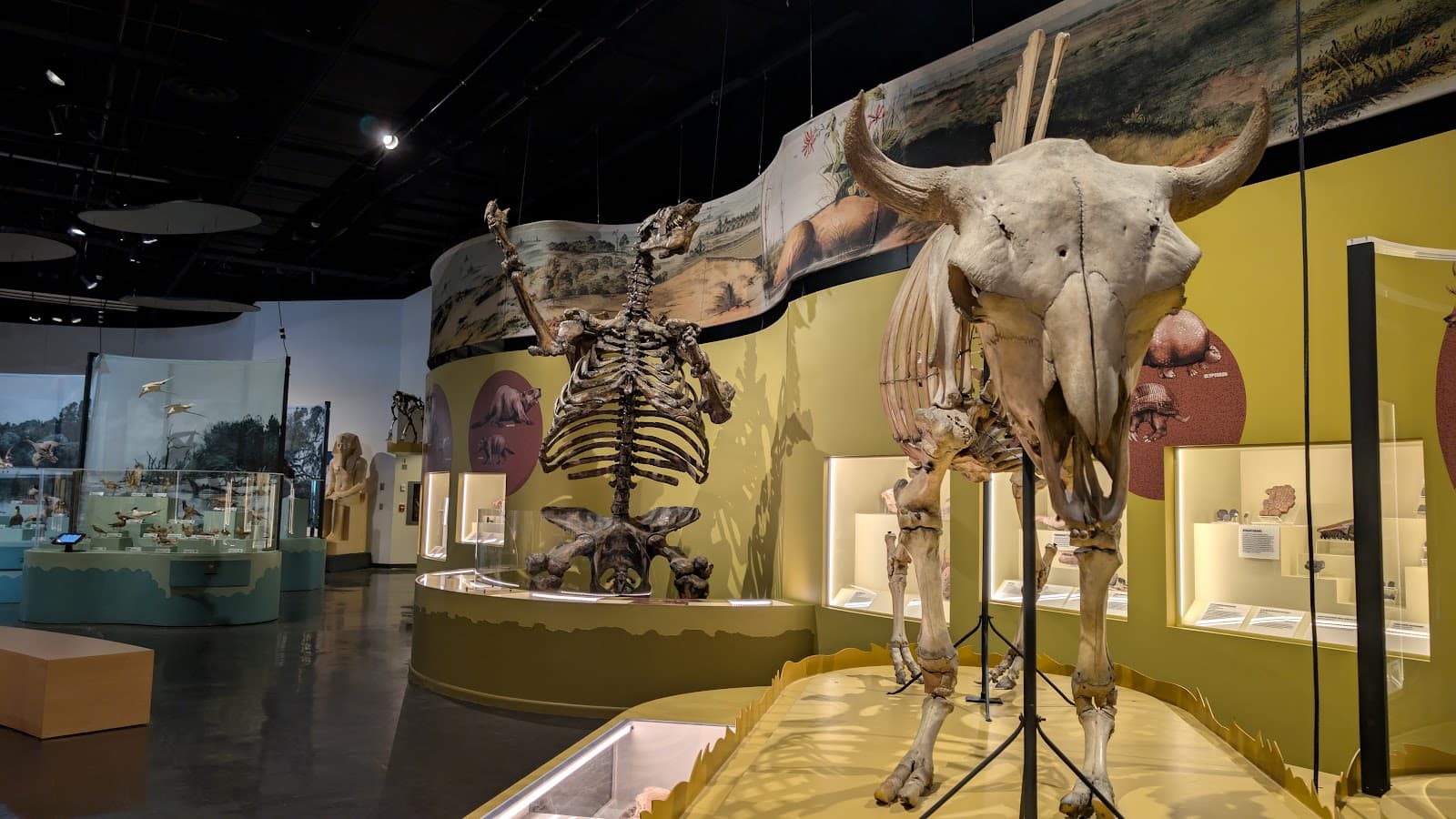 The Charleston Museum