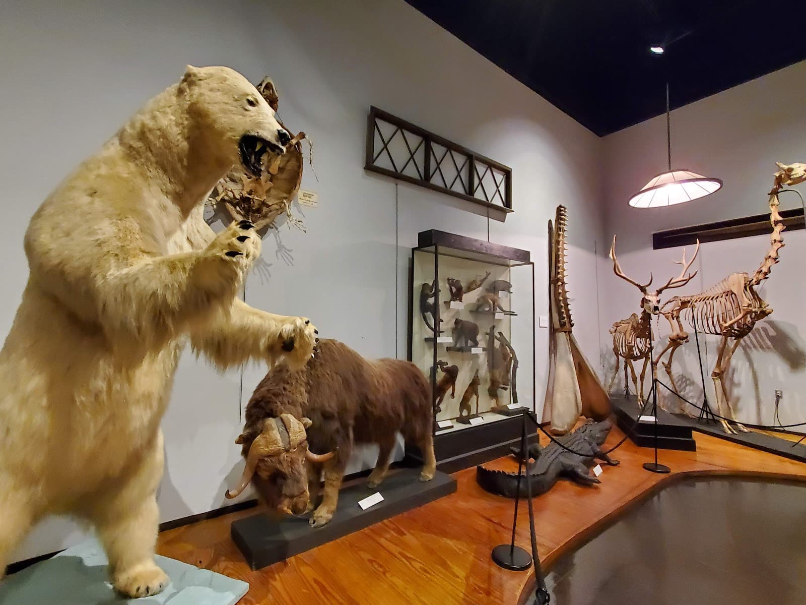 The Charleston Museum — photo 1