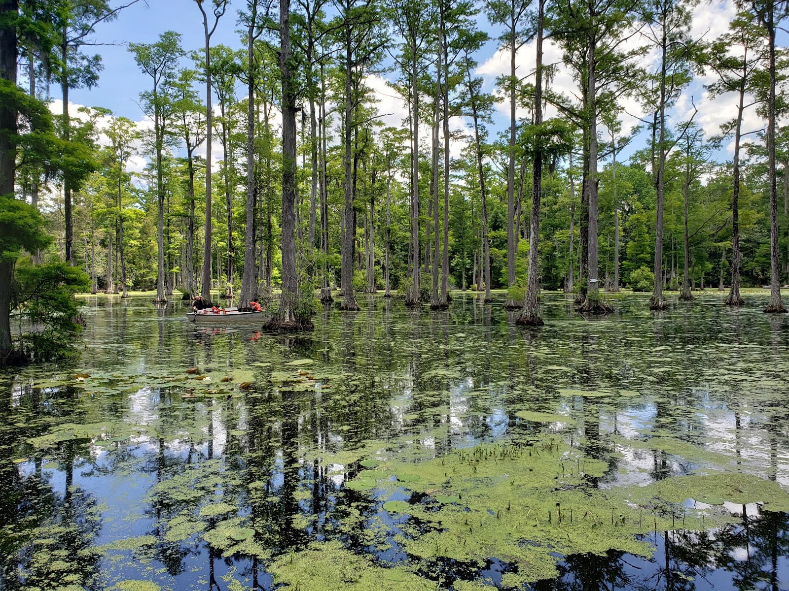 Cypress Gardens — photo 1
