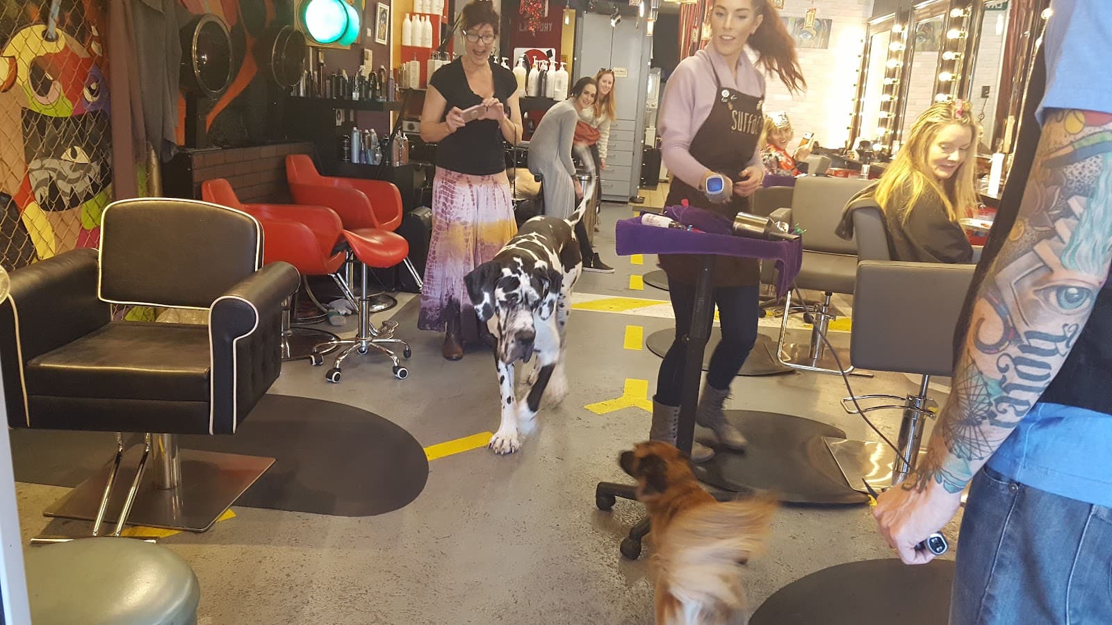 Lava Salon - Avondale