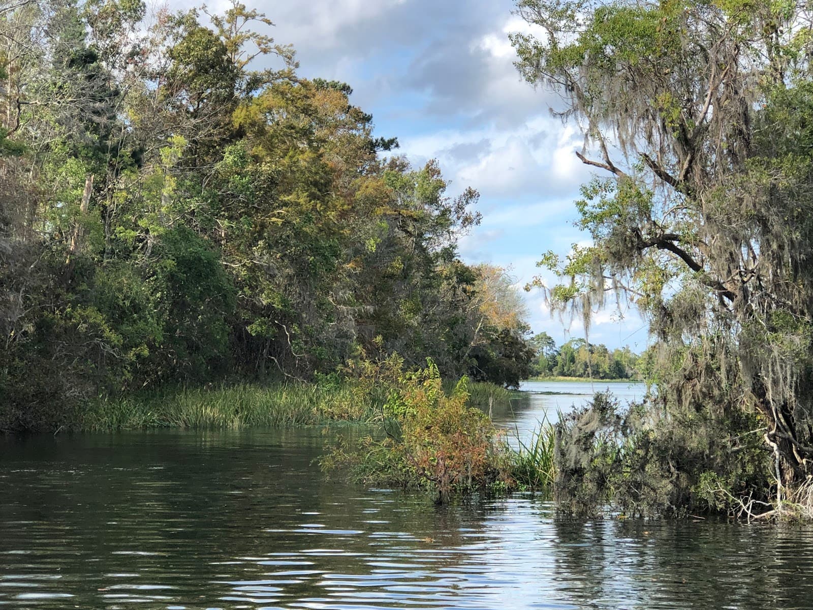 Charleston Booze Cruise — photo 2