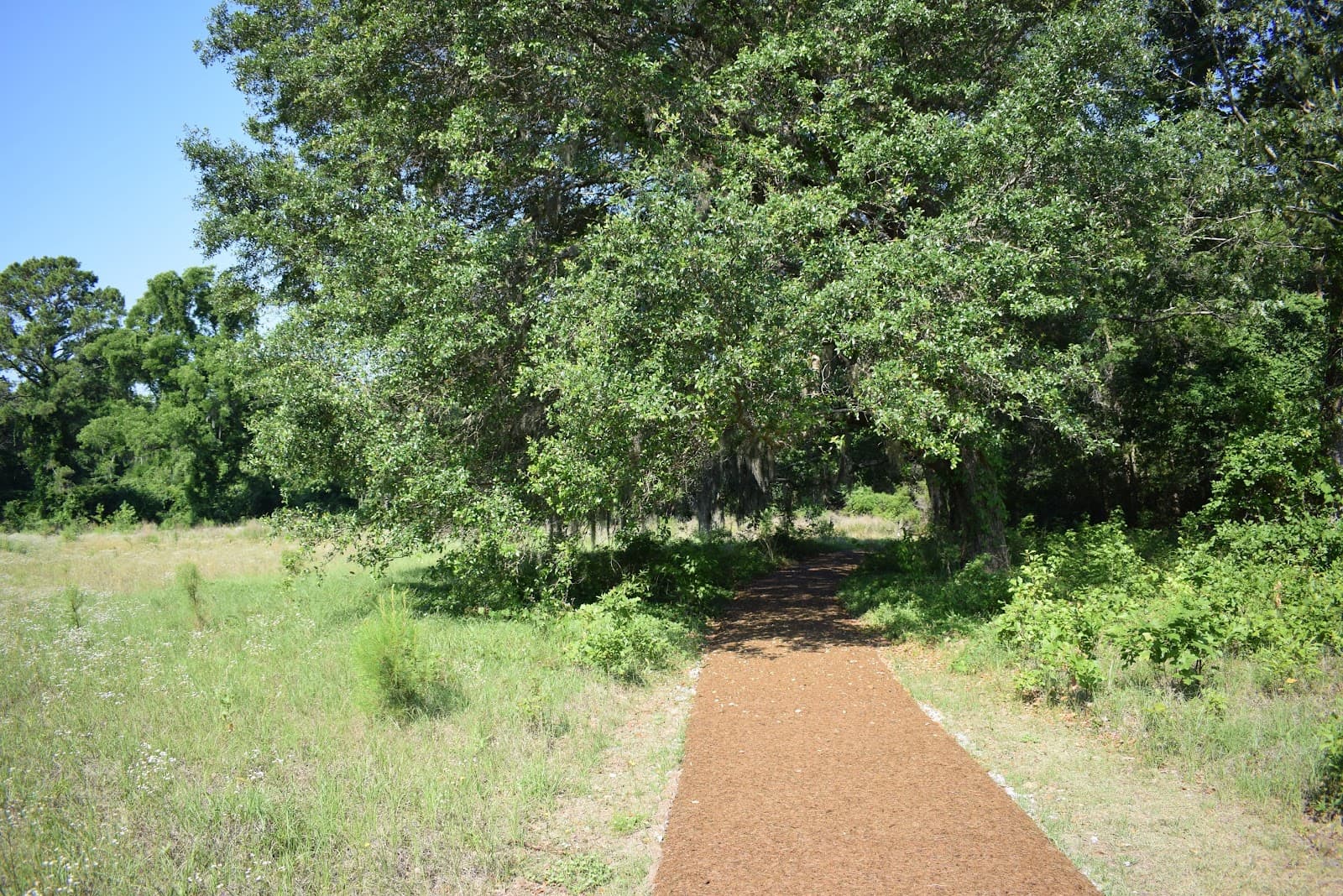 Charles Pinckney National Historic Site