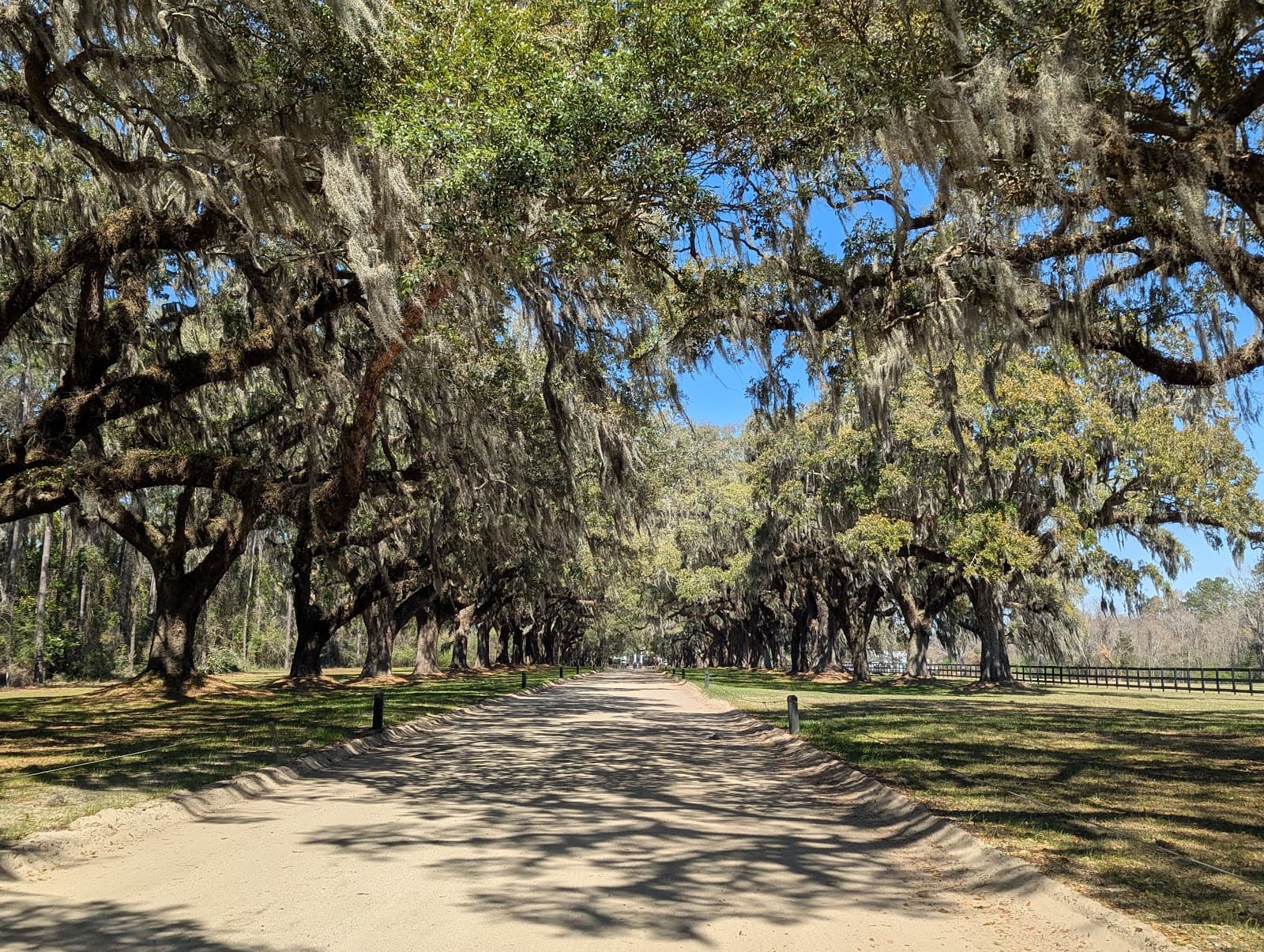 Charles Pinckney National Historic Site — photo 1