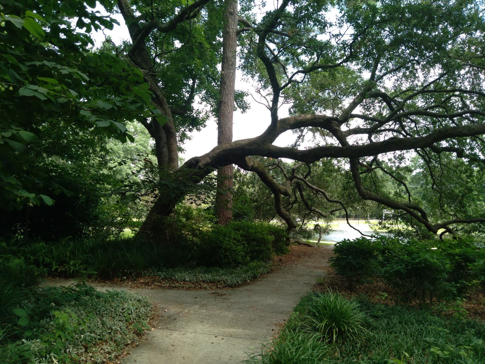 Quarterman Park