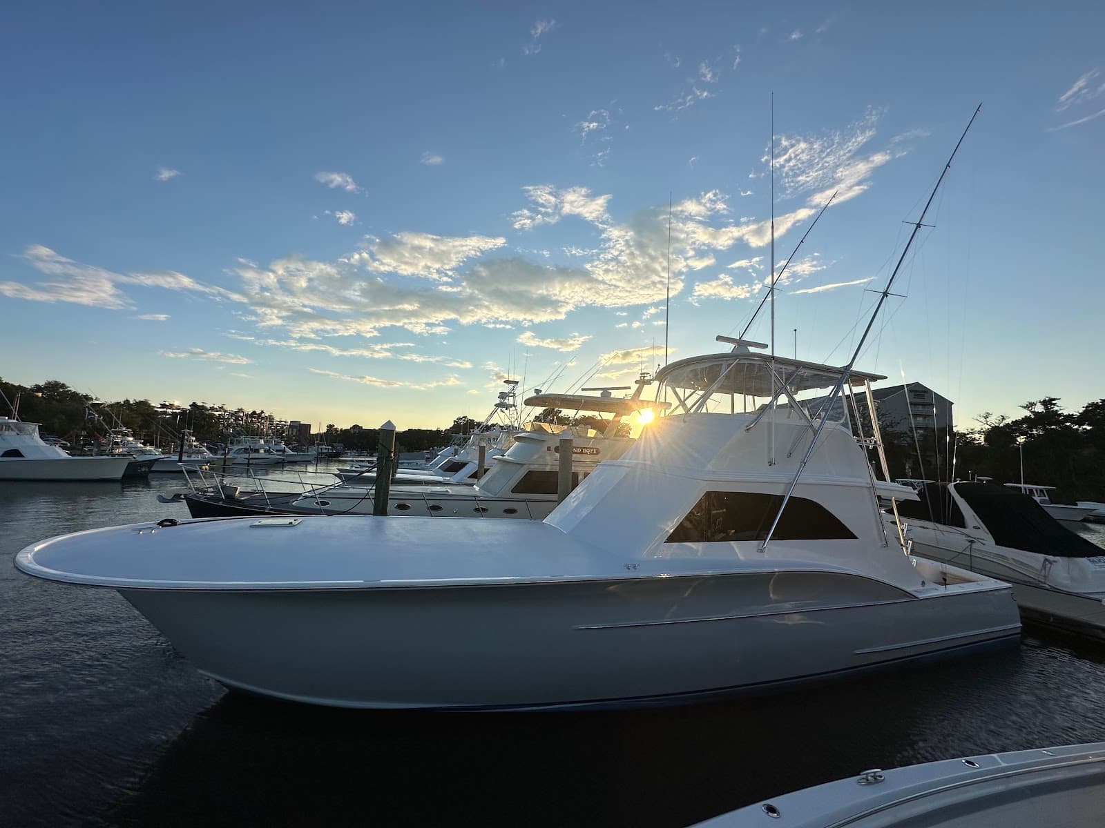 Backhaul Sportfishing — photo 1