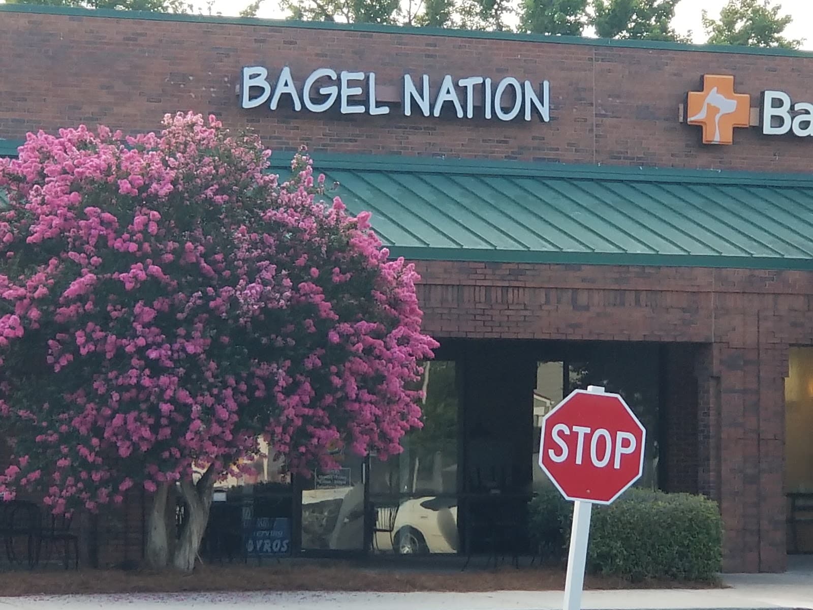 Bagel Nation — photo 2