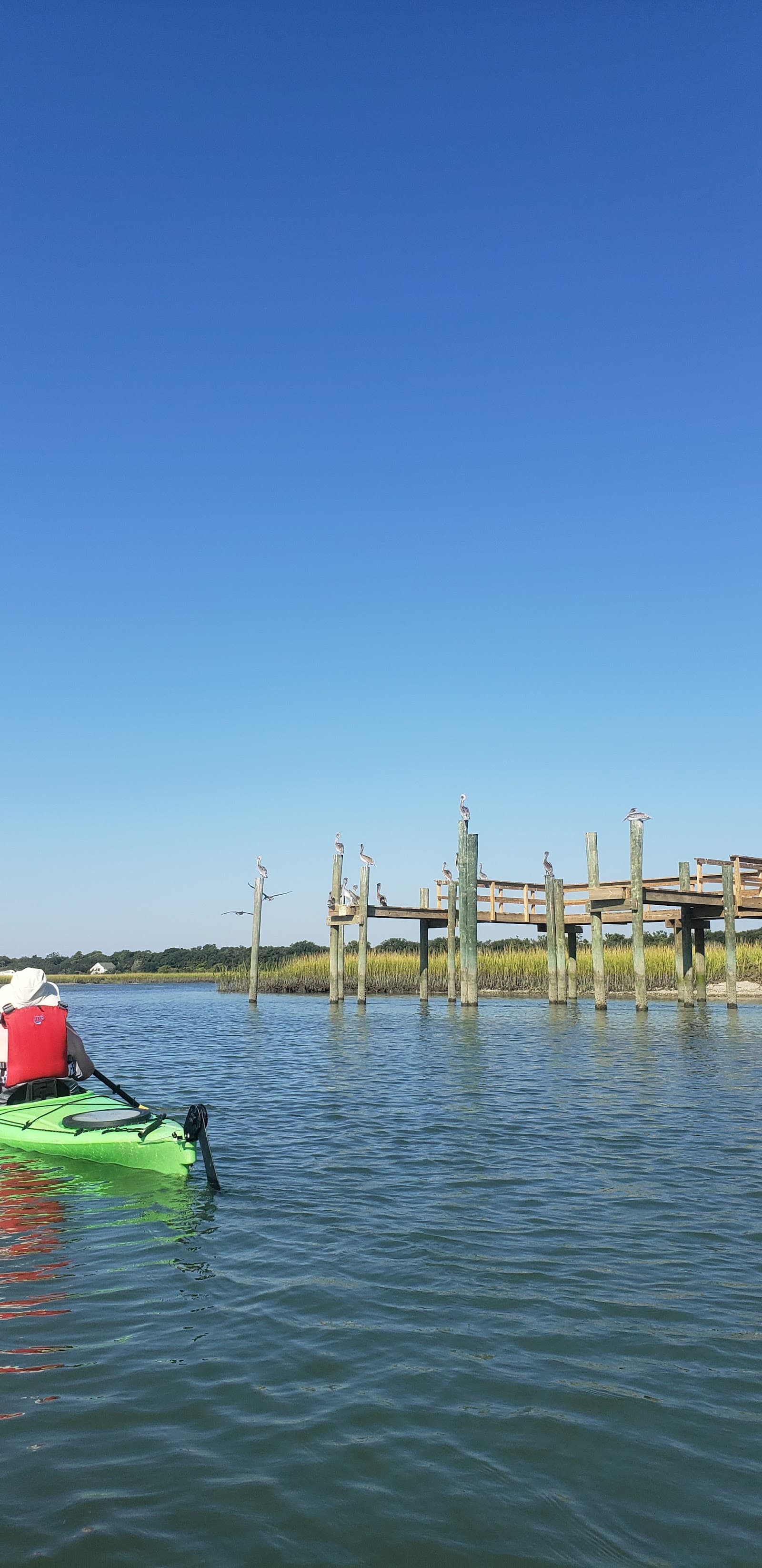 Folly Beach — Town — photo 2