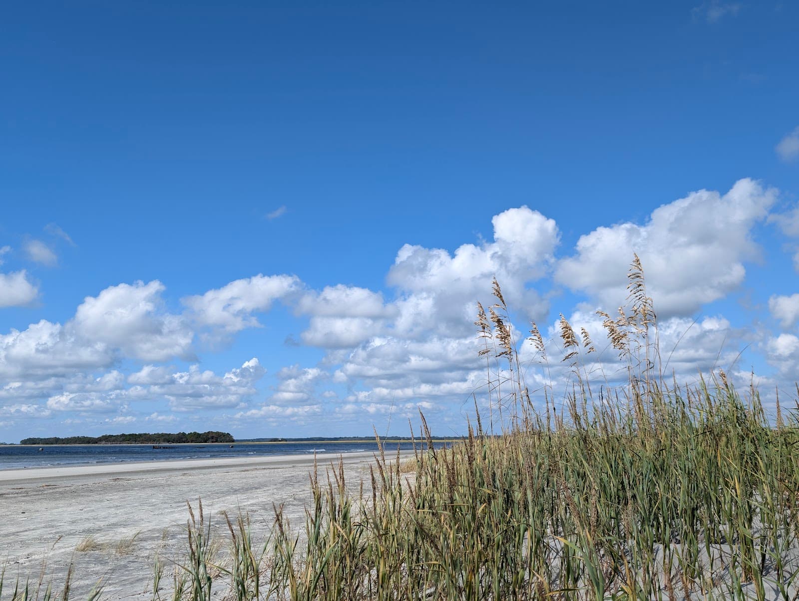 Folly Beach County Park