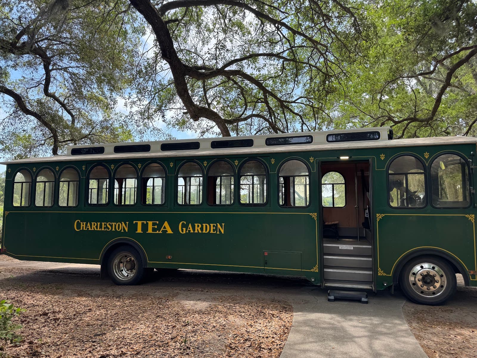 Charleston Tea Garden — photo 1