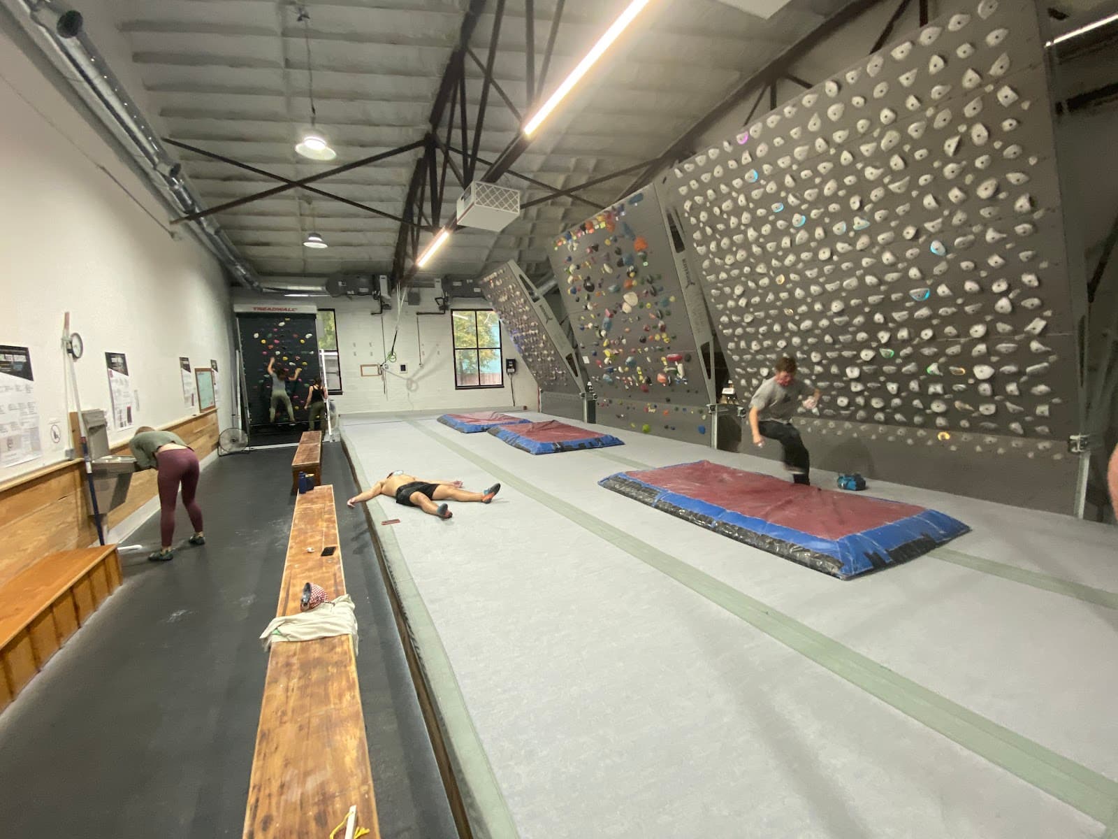 Coastal Climbing Gym — photo 2