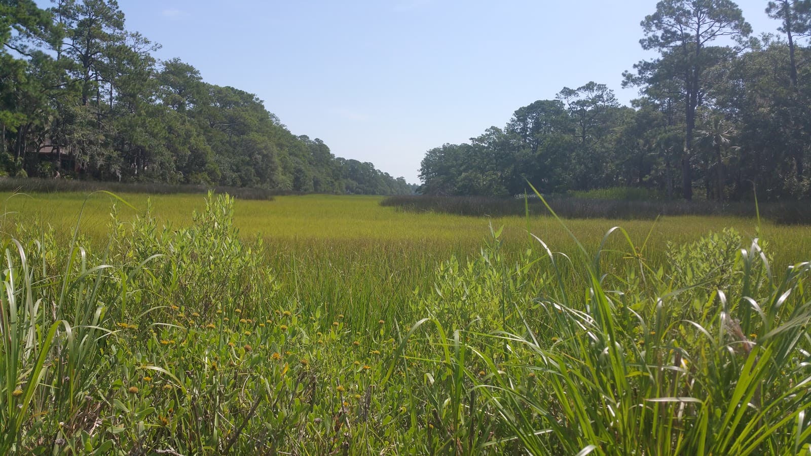 Seabrook Island Beach — photo 1