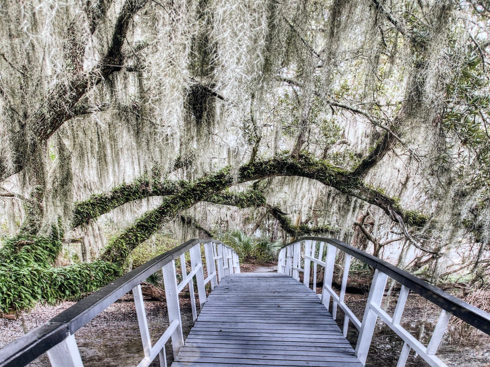Mike Nocher Photography, LLC — photo 1