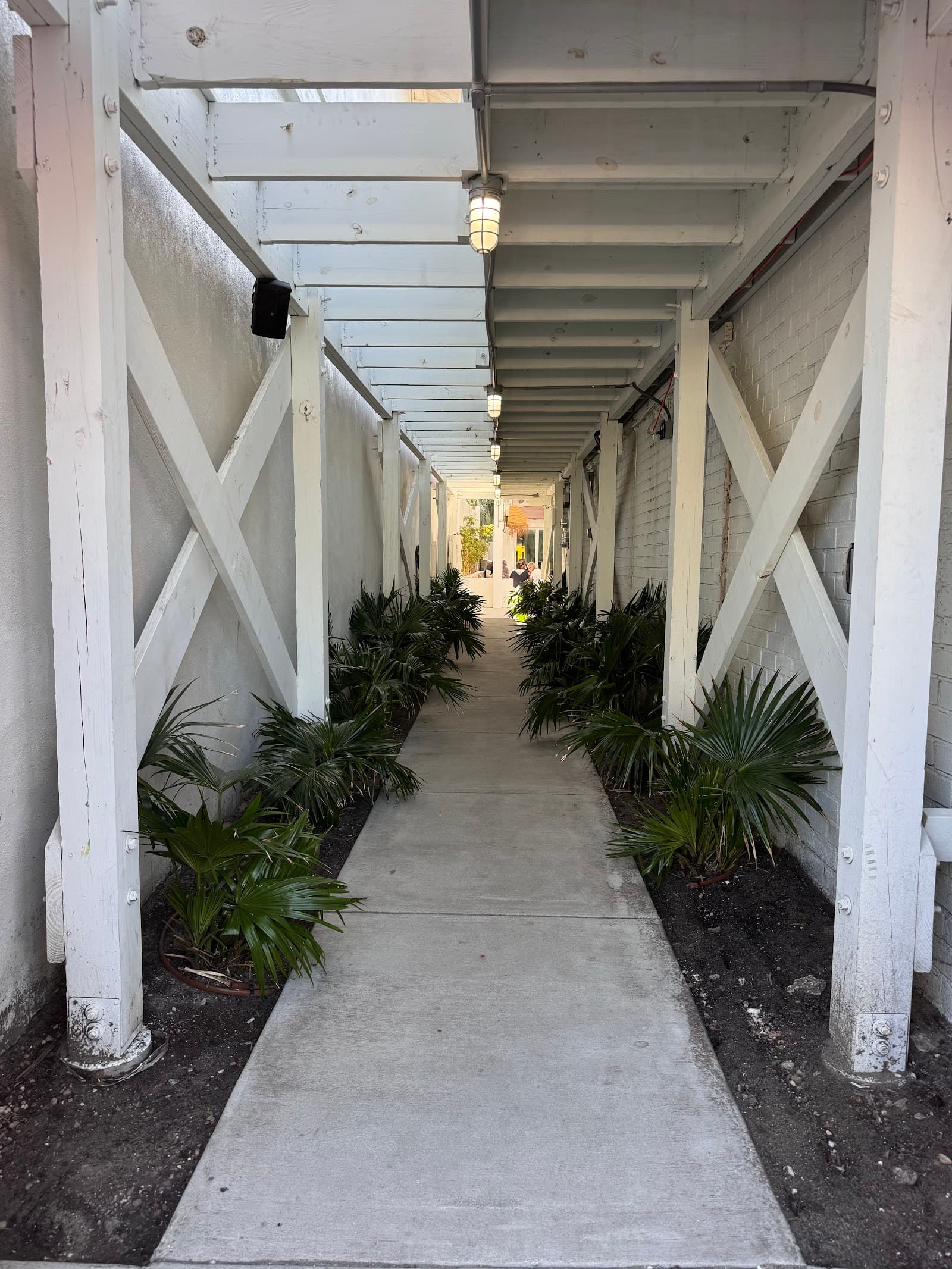 Revelry Brewing - Folly Beach — photo 1