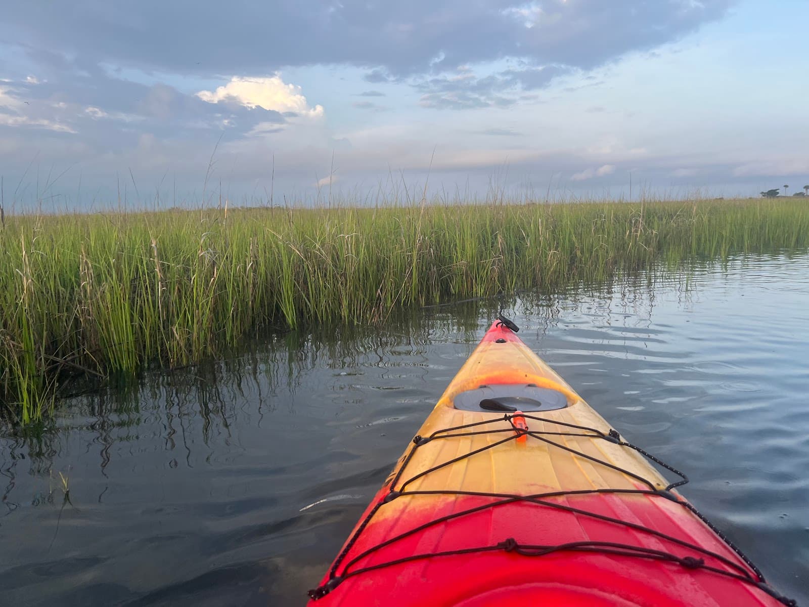 Coastal Expeditions on Shem Creek — photo 2