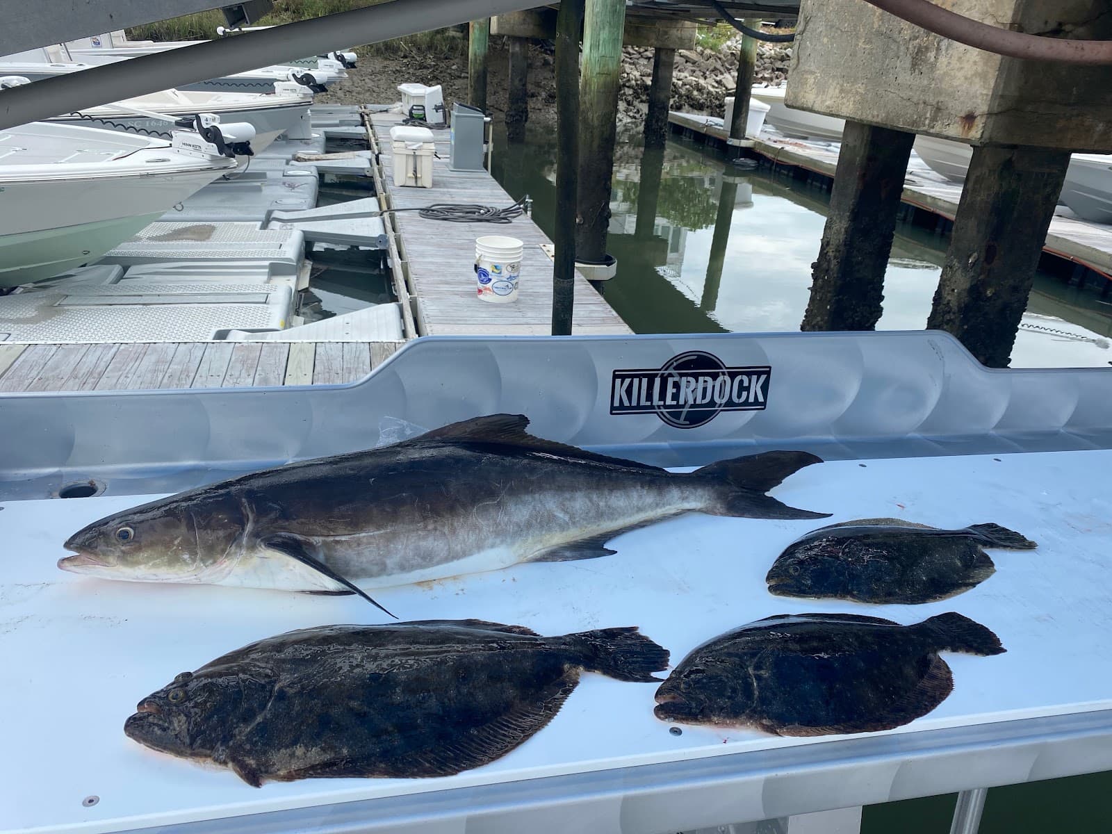 Lowcountry Outdoor Adventures — photo 2