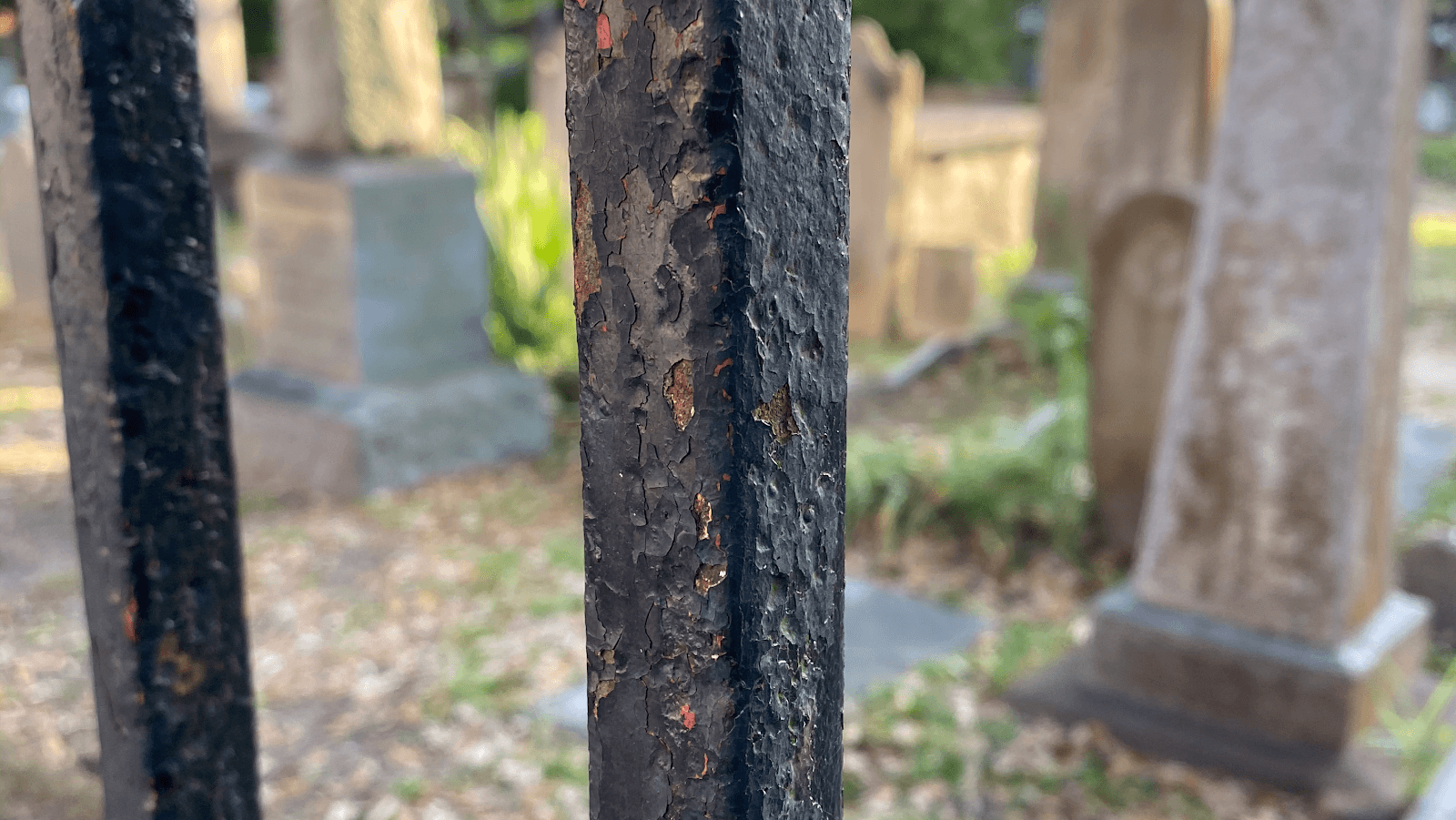 Revolutionary Charleston Tours