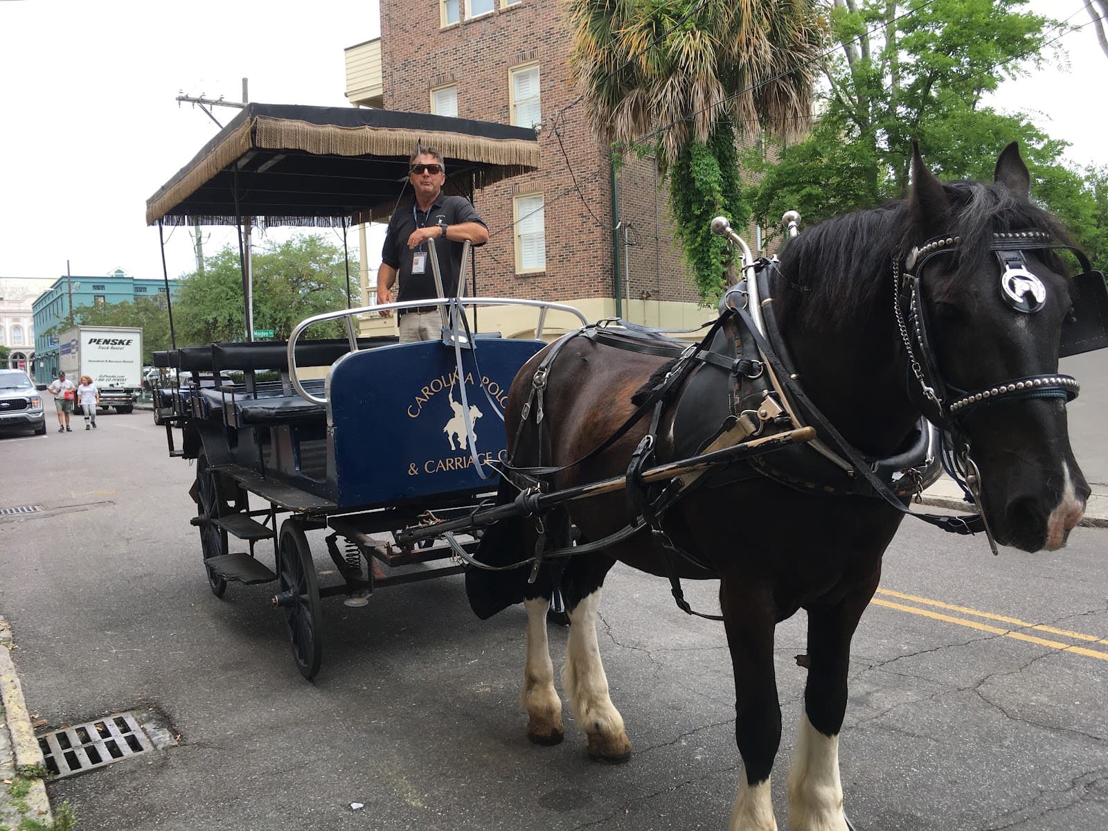 Carolina Polo and Carriage Co. — photo 1