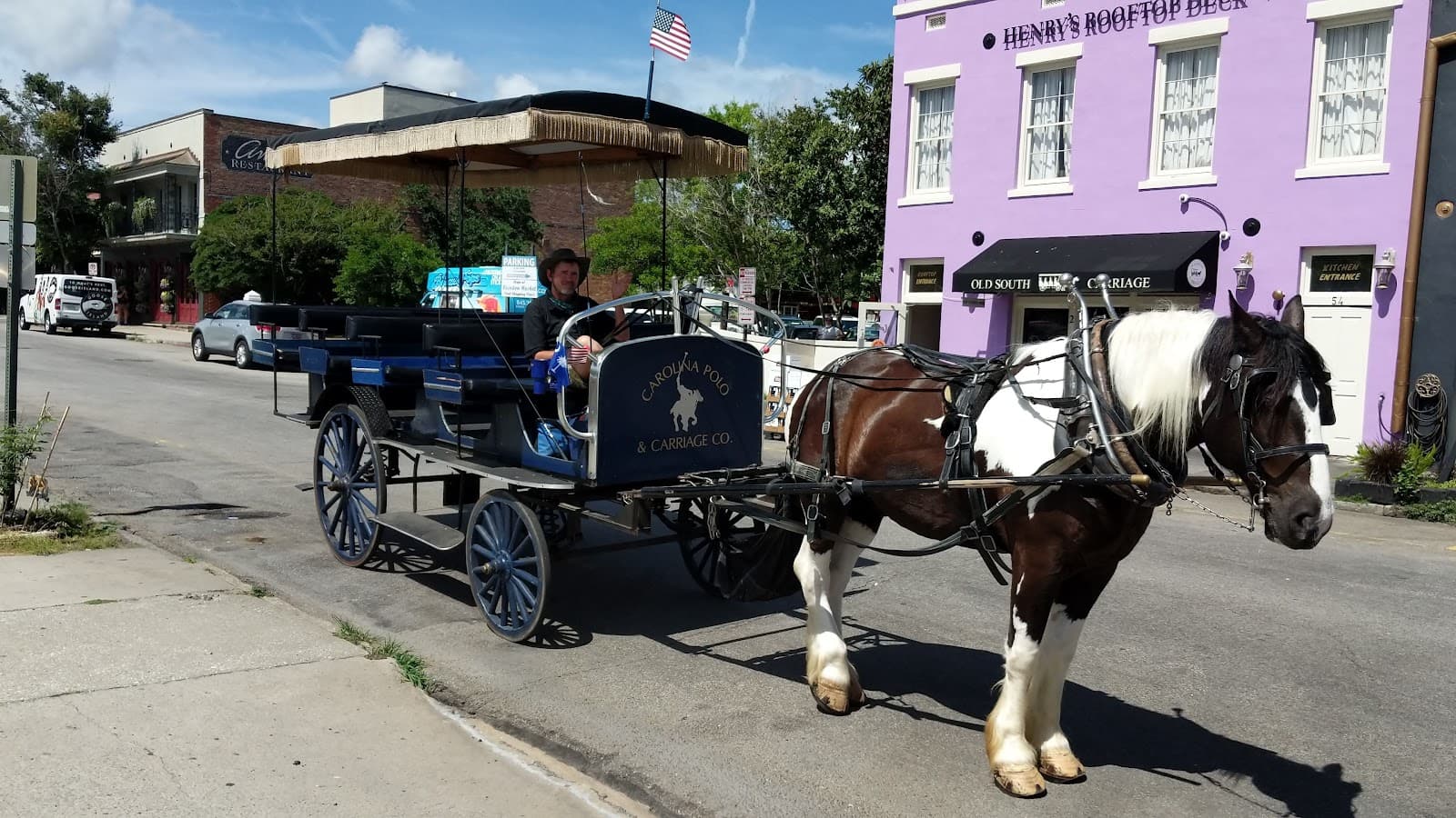 Carolina Polo and Carriage Co. — photo 2