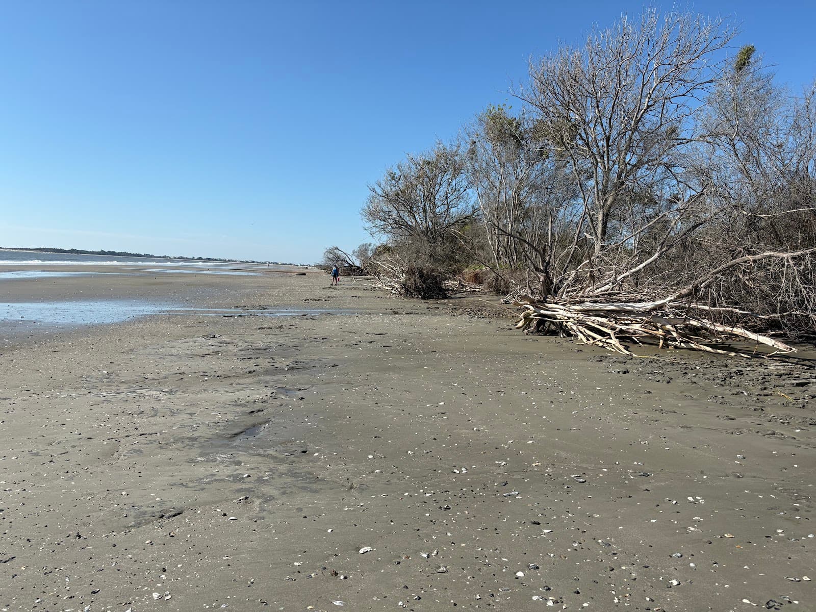 Castaway Island Excursions