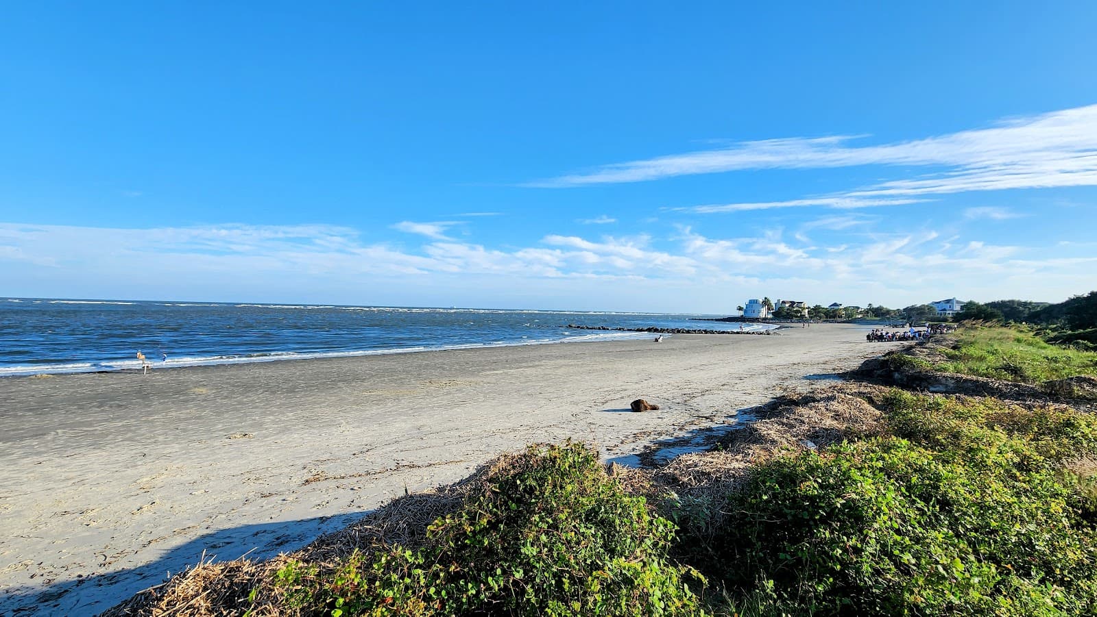 Thomson Park — photo 1