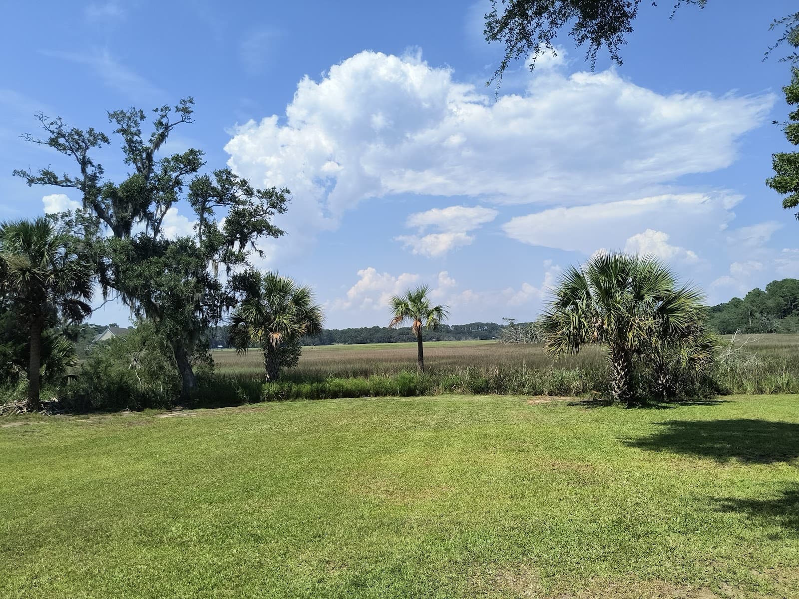 Wadmalaw Island — photo 1