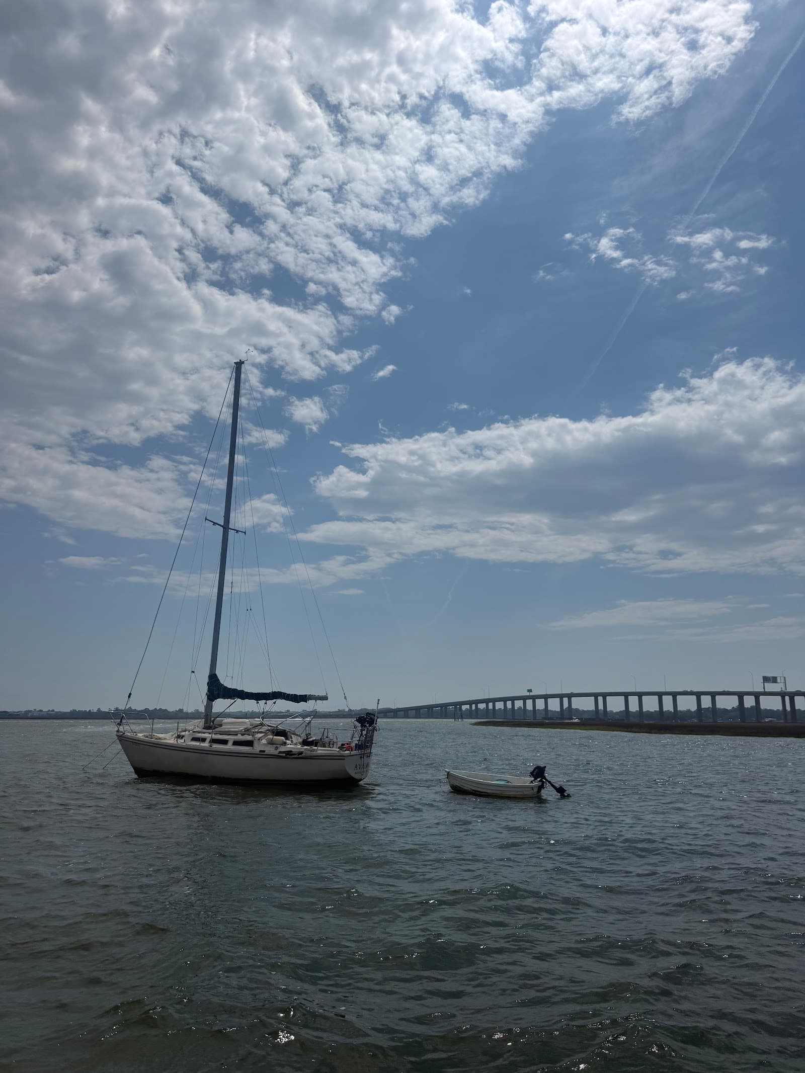 Palmetto Party Boat — photo 2