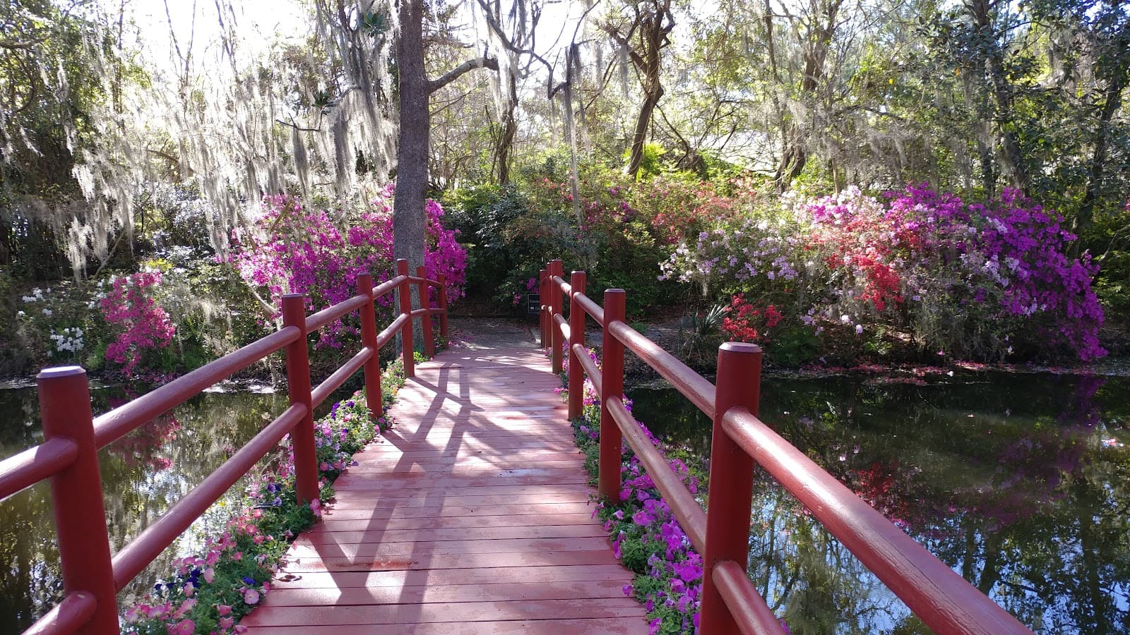 Magnolia Plantation Gardens