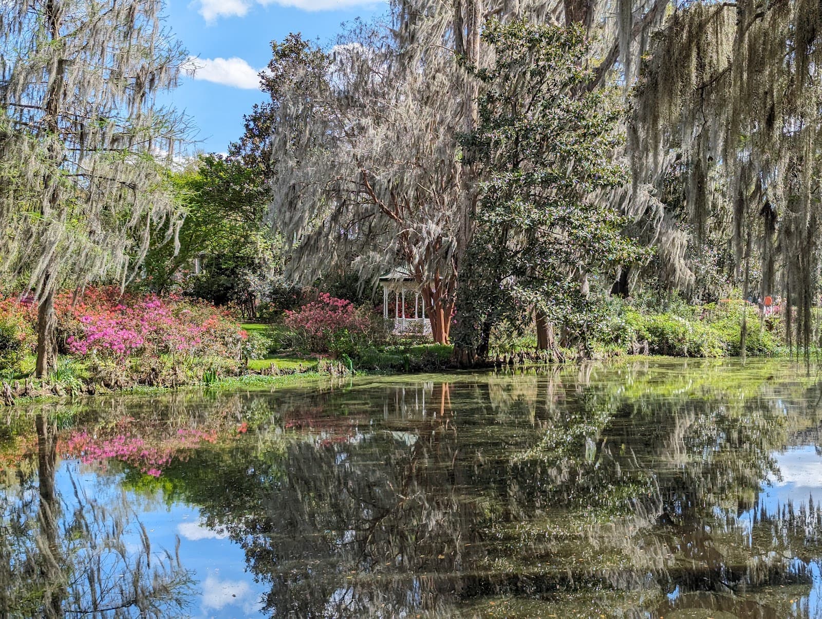 Magnolia Plantation Gardens — photo 1