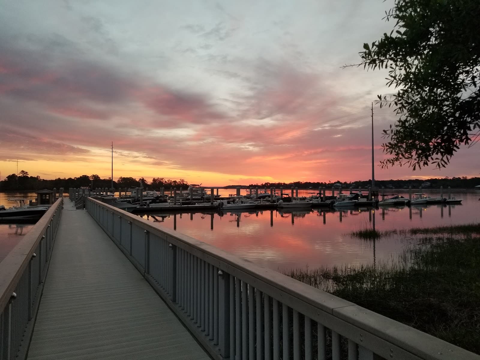 Wando River Marina — photo 2