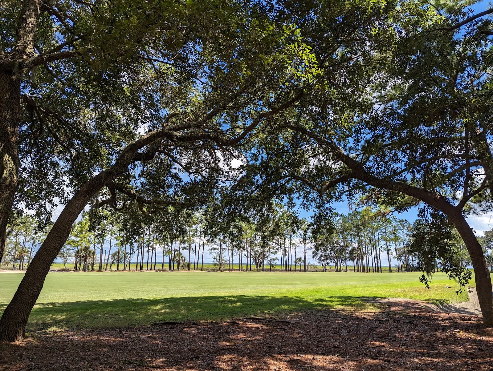 Bulls Bay Golf Club — photo 1